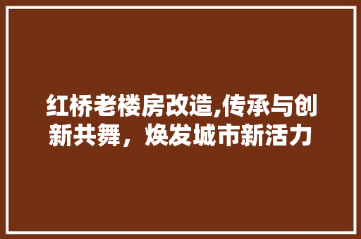 红桥老楼房改造,传承与创新共舞，焕发城市新活力