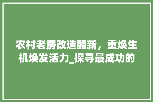 农村老房改造翻新，重焕生机焕发活力_探寻最成功的例子