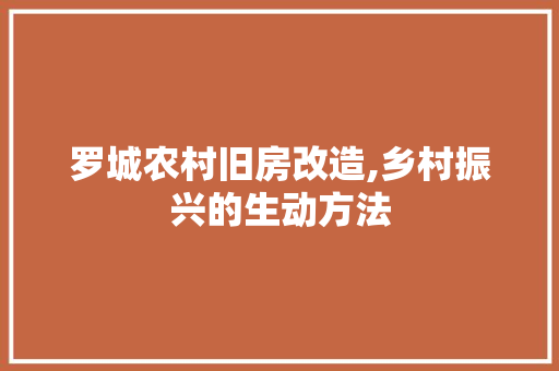 罗城农村旧房改造,乡村振兴的生动方法