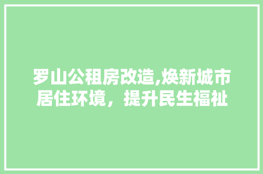 罗山公租房改造,焕新城市居住环境，提升民生福祉 装修材料