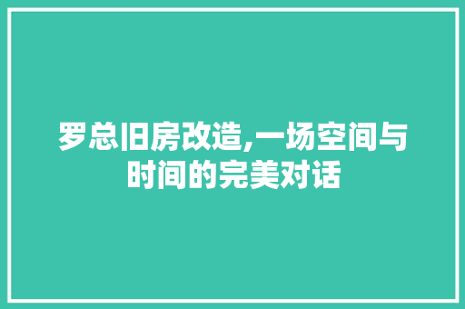 罗总旧房改造,一场空间与时间的完美对话 隔断设计