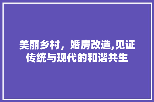 美丽乡村，婚房改造,见证传统与现代的和谐共生
