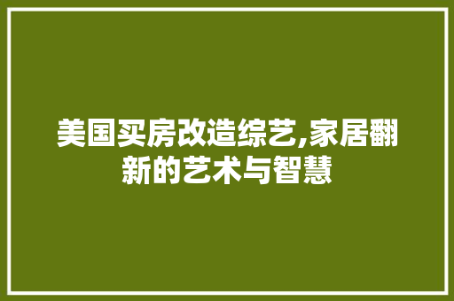 美国买房改造综艺,家居翻新的艺术与智慧 地面装修