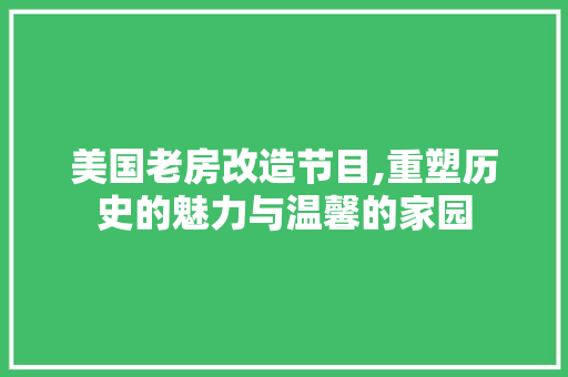 美国老房改造节目,重塑历史的魅力与温馨的家园