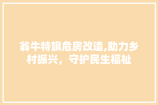 翁牛特旗危房改造,助力乡村振兴，守护民生福祉 建筑设计