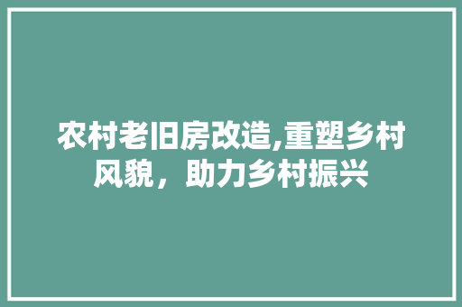 农村老旧房改造,重塑乡村风貌，助力乡村振兴