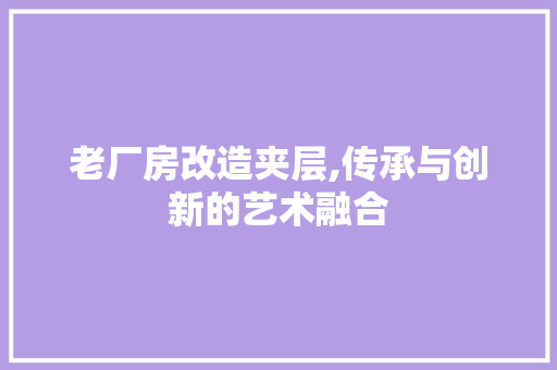 老厂房改造夹层,传承与创新的艺术融合