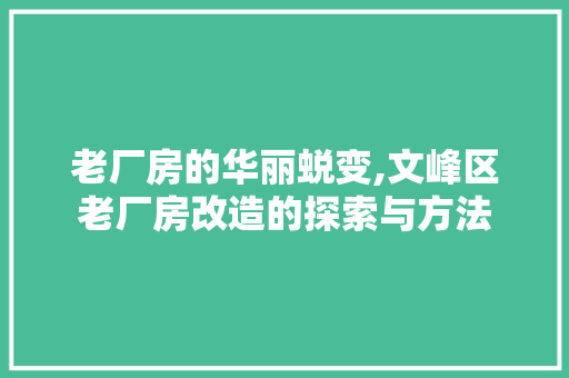 老厂房的华丽蜕变,文峰区老厂房改造的探索与方法