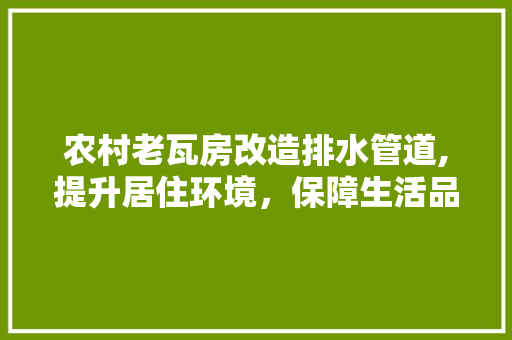 农村老瓦房改造排水管道,提升居住环境，保障生活品质