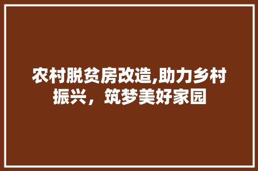 农村脱贫房改造,助力乡村振兴，筑梦美好家园