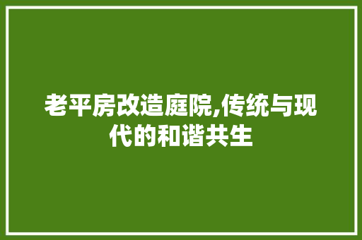 老平房改造庭院,传统与现代的和谐共生