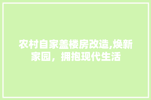 农村自家盖楼房改造,焕新家园，拥抱现代生活