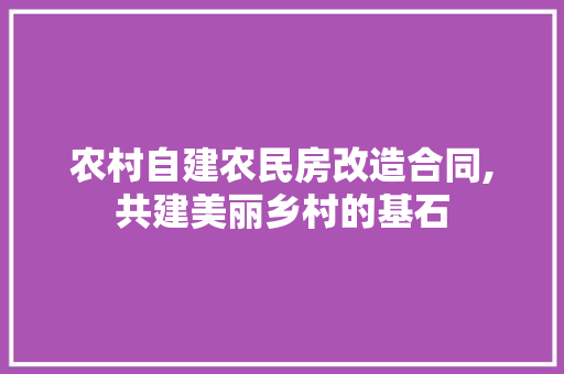 农村自建农民房改造合同,共建美丽乡村的基石 装修材料