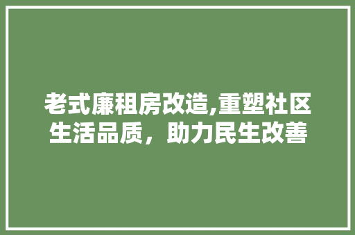 老式廉租房改造,重塑社区生活品质，助力民生改善