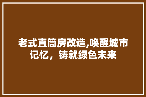 老式直筒房改造,唤醒城市记忆，铸就绿色未来