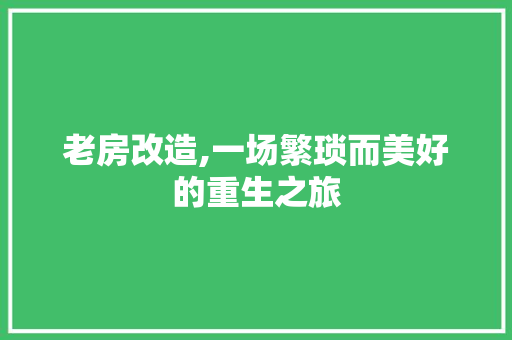 老房改造,一场繁琐而美好的重生之旅 隔断设计