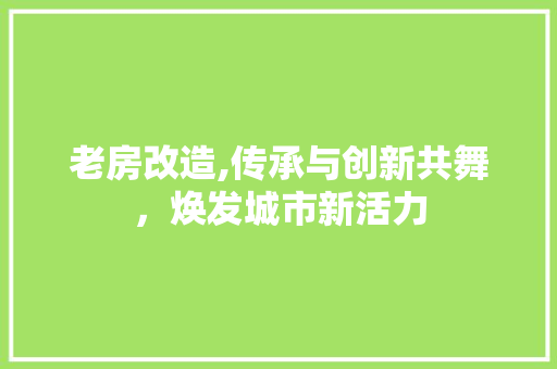 老房改造,传承与创新共舞，焕发城市新活力 建筑设计