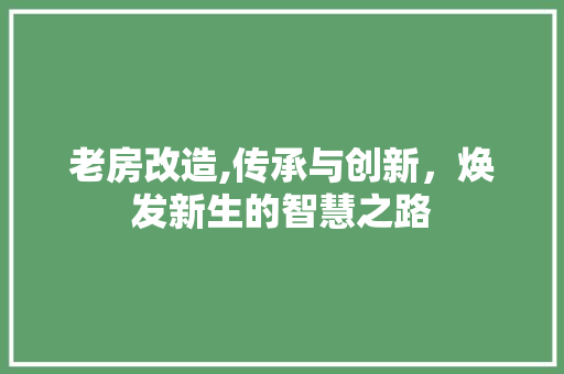 老房改造,传承与创新，焕发新生的智慧之路 景观设计