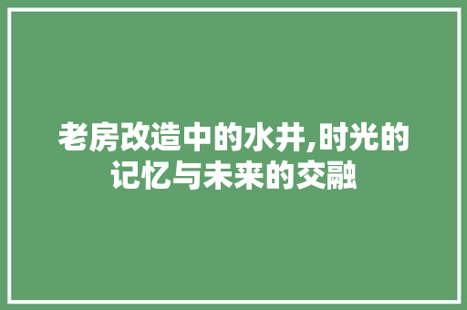 老房改造中的水井,时光的记忆与未来的交融