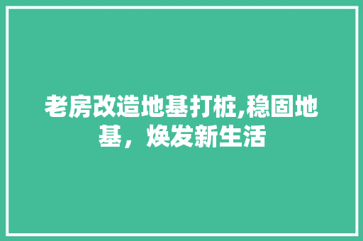 老房改造地基打桩,稳固地基，焕发新生活
