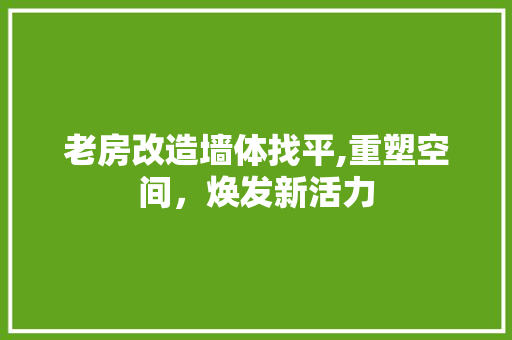 老房改造墙体找平,重塑空间，焕发新活力