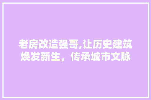 老房改造强哥,让历史建筑焕发新生,传承城市文脉 地面装修 老房改造强哥,让历史建筑焕发新生,传承城市文脉 地面装修