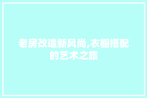 老房改造新风尚,衣橱搭配的艺术之旅