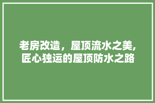 老房改造,屋顶流水之美,匠心独运的屋顶防水之路 隔断设计 老房改造,屋顶流水之美,匠心独运的屋顶防水之路 隔断设计