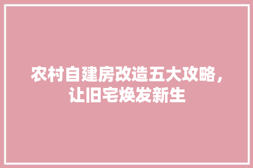 农村自建房改造五大攻略，让旧宅焕发新生