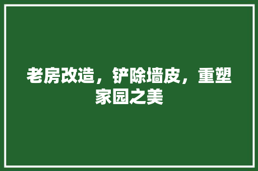 老房改造，铲除墙皮，重塑家园之美 地面装修