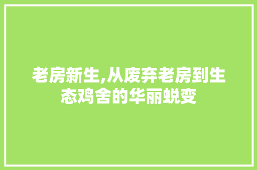 老房新生,从废弃老房到生态鸡舍的华丽蜕变