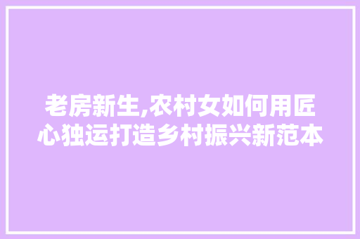老房新生,农村女如何用匠心独运打造乡村振兴新范本