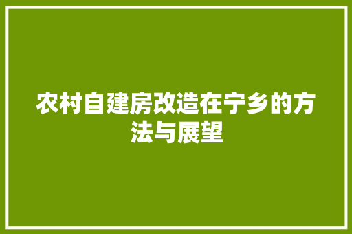 农村自建房改造在宁乡的方法与展望