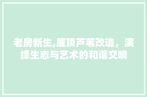 老房新生,屋顶芦苇改造，演绎生态与艺术的和谐交响