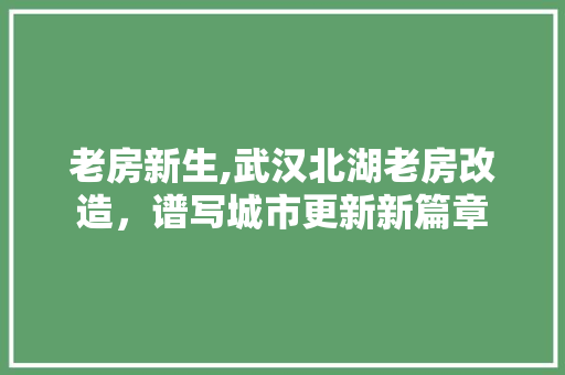 老房新生,武汉北湖老房改造，谱写城市更新新篇章