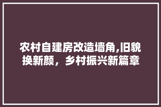 农村自建房改造墙角,旧貌换新颜，乡村振兴新篇章
