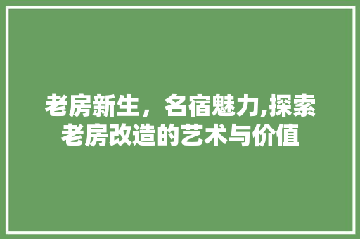 老房新生，名宿魅力,探索老房改造的艺术与价值