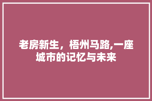 老房新生，梧州马路,一座城市的记忆与未来 庭院装修