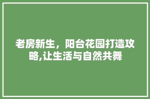 老房新生，阳台花园打造攻略,让生活与自然共舞 建筑设计