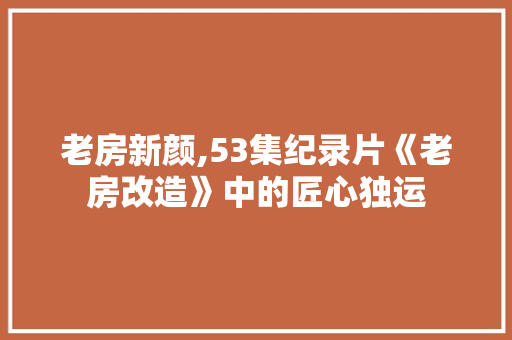 老房新颜,53集纪录片《老房改造》中的匠心独运 门窗装修