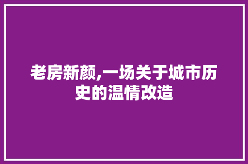 老房新颜,一场关于城市历史的温情改造 装修材料