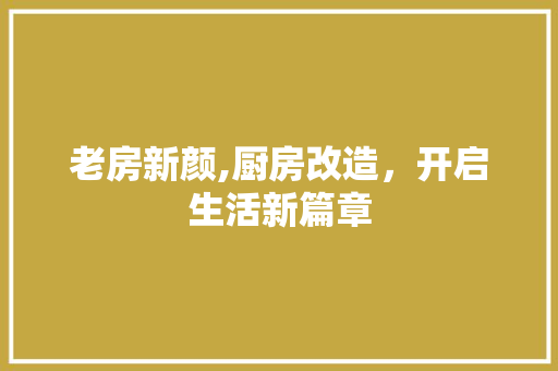 老房新颜,厨房改造，开启生活新篇章 装修材料