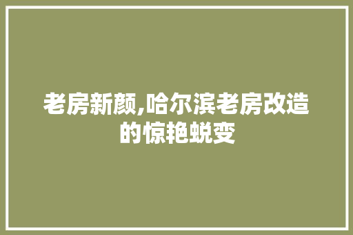 老房新颜,哈尔滨老房改造的惊艳蜕变