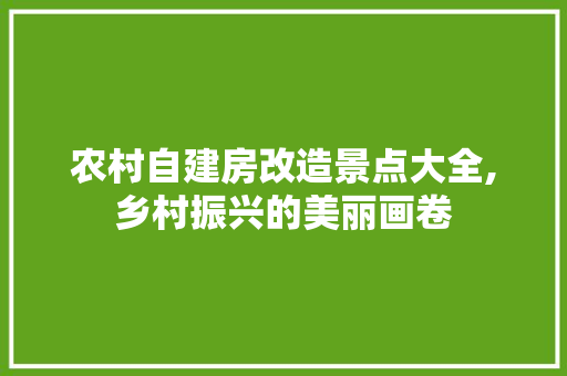 农村自建房改造景点大全,乡村振兴的美丽画卷