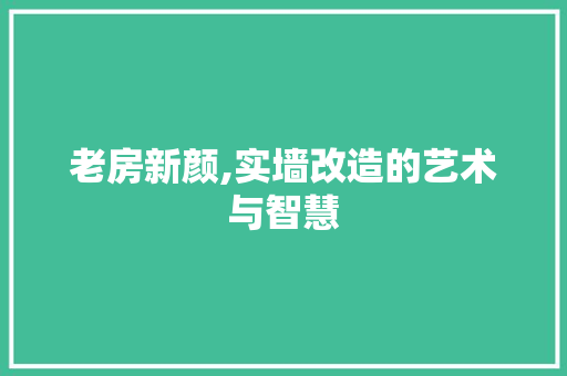 老房新颜,实墙改造的艺术与智慧 门窗装修