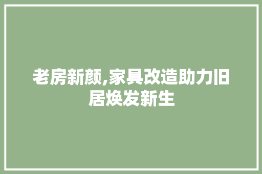老房新颜,家具改造助力旧居焕发新生 隔断设计
