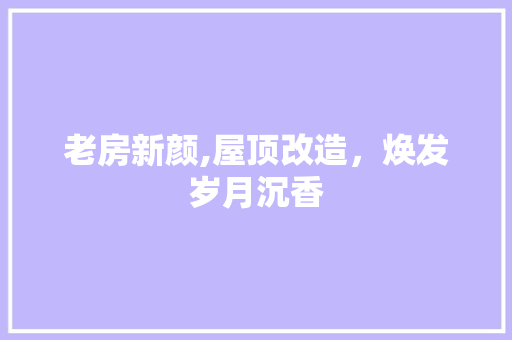 老房新颜,屋顶改造，焕发岁月沉香 地面装修
