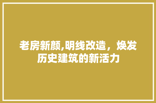 老房新颜,明线改造，焕发历史建筑的新活力 建筑设计