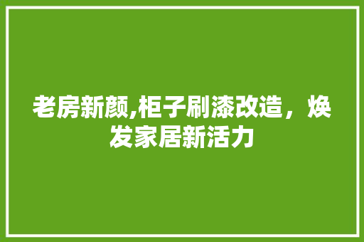 老房新颜,柜子刷漆改造，焕发家居新活力 隔断设计