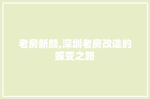 老房新颜,深圳老房改造的蝶变之路 装修材料